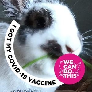 Meet your Posher, Rose